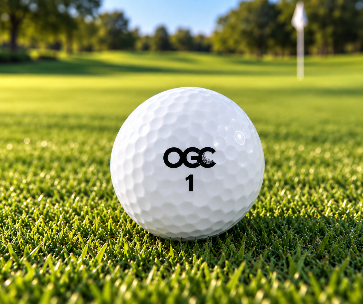 Tour Pro 3 One Golf Company
